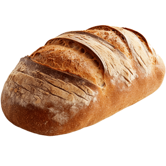 Masa Madre
